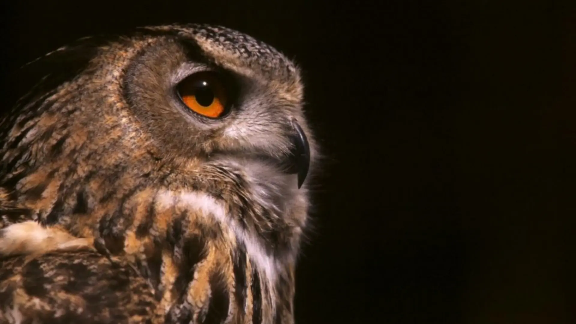 Bureau des guides naturalistes