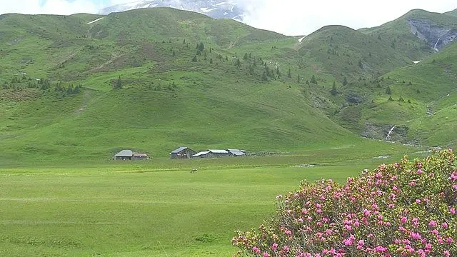 Vue extérieure Refuge Alfred Wills