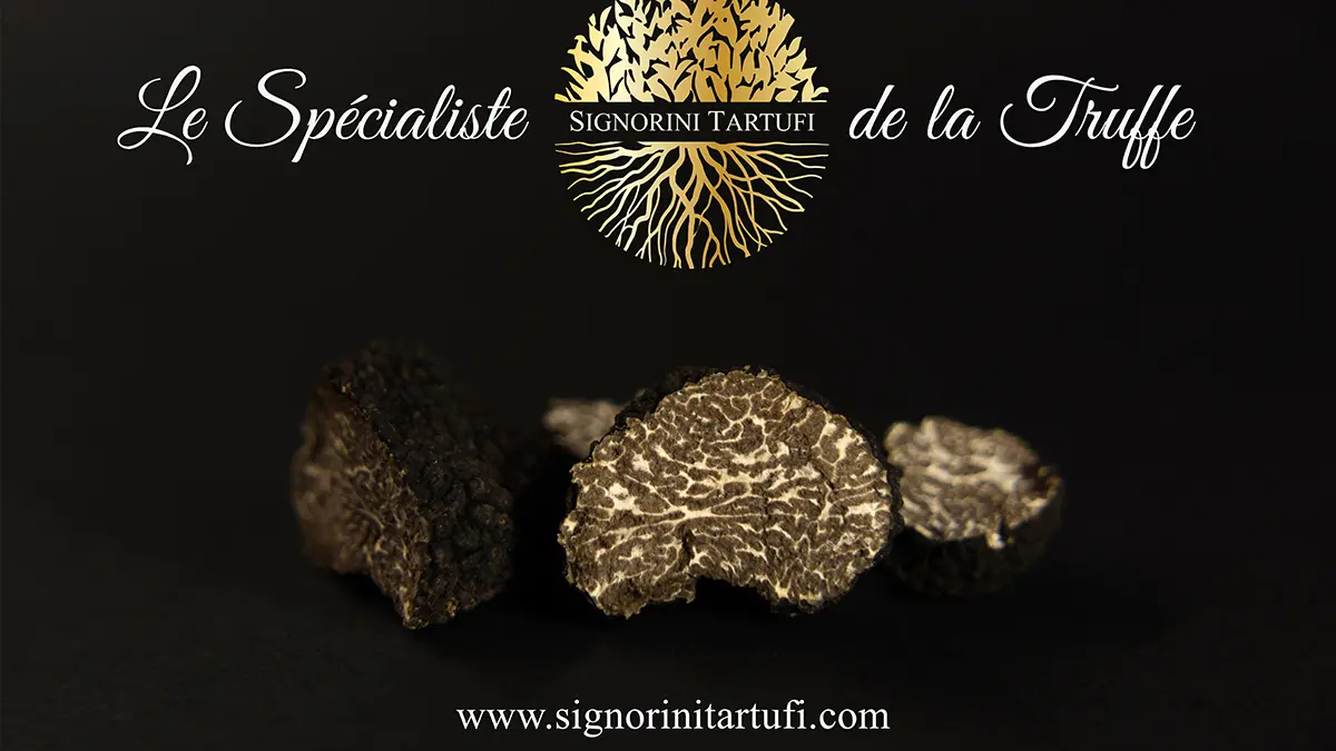Signorini Tartufi