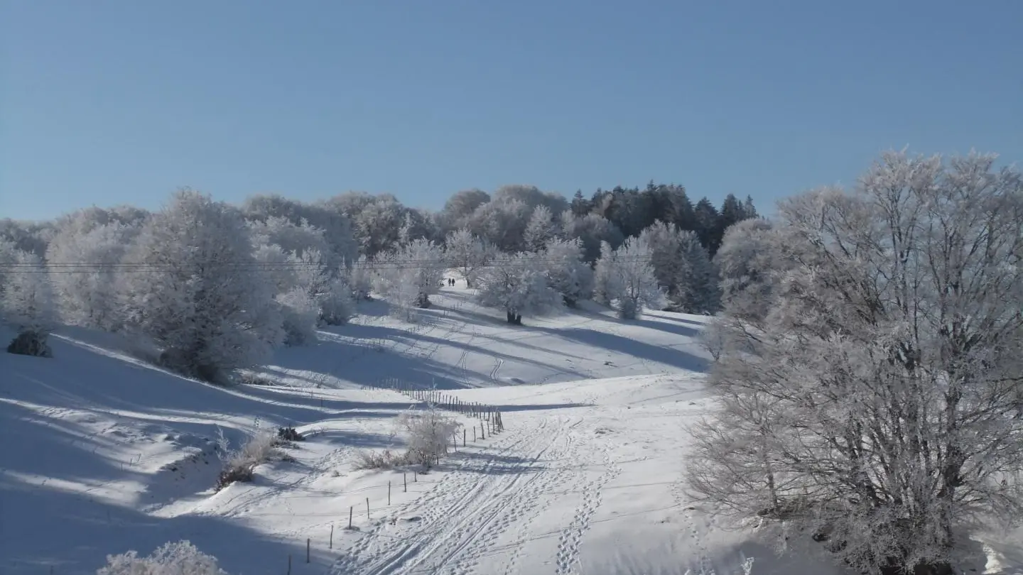 Les pistes de skis de fond dans les alpages