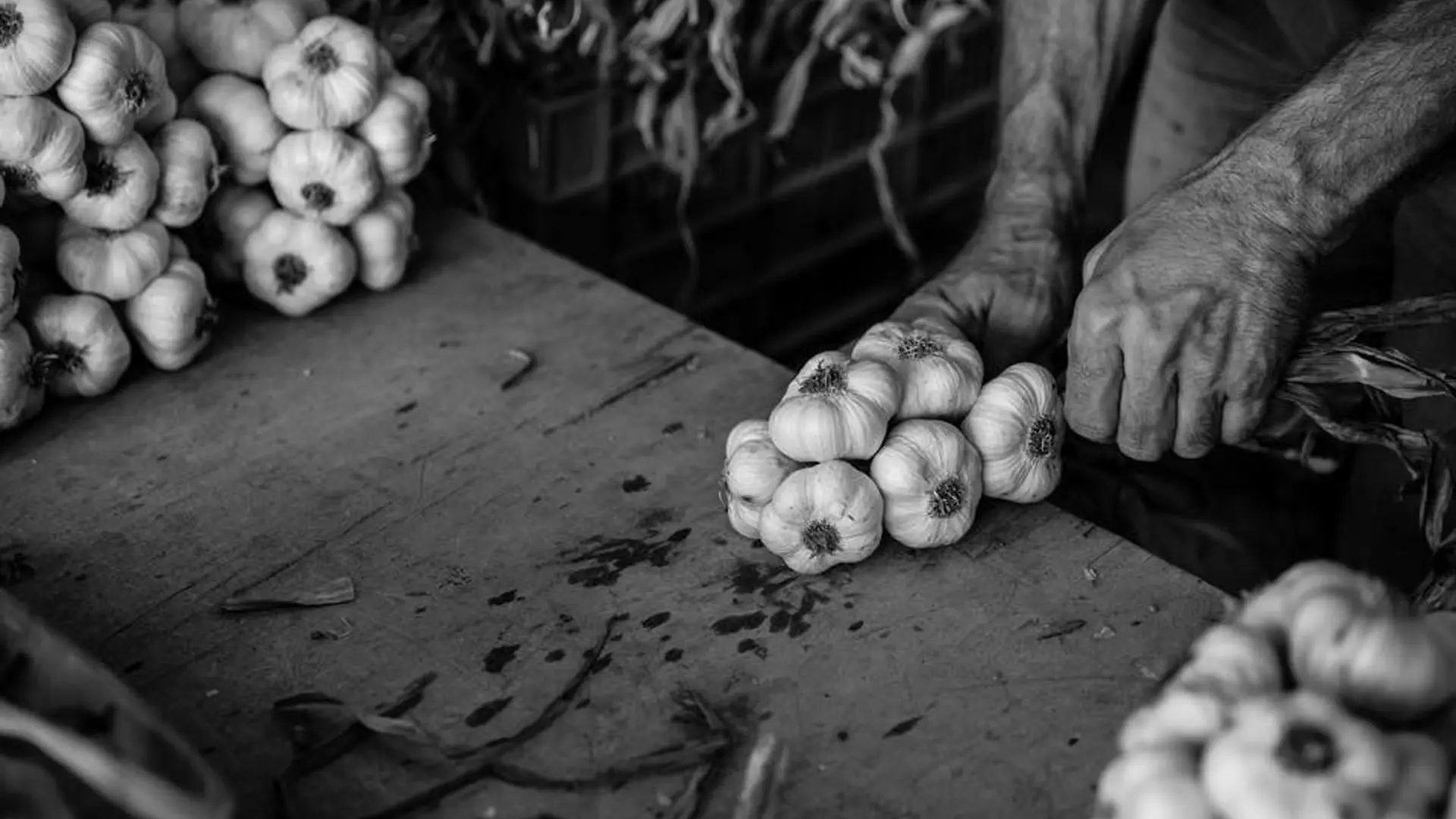 Ail blanc de Lomagne