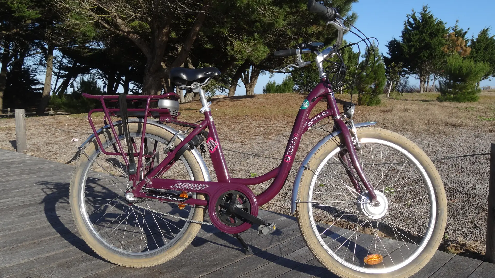 Vélo à assistance électrique