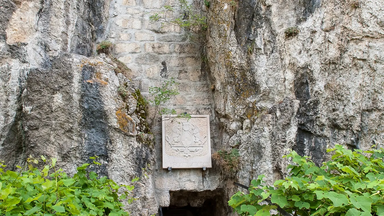 Entrée Tour des comtes de Genève