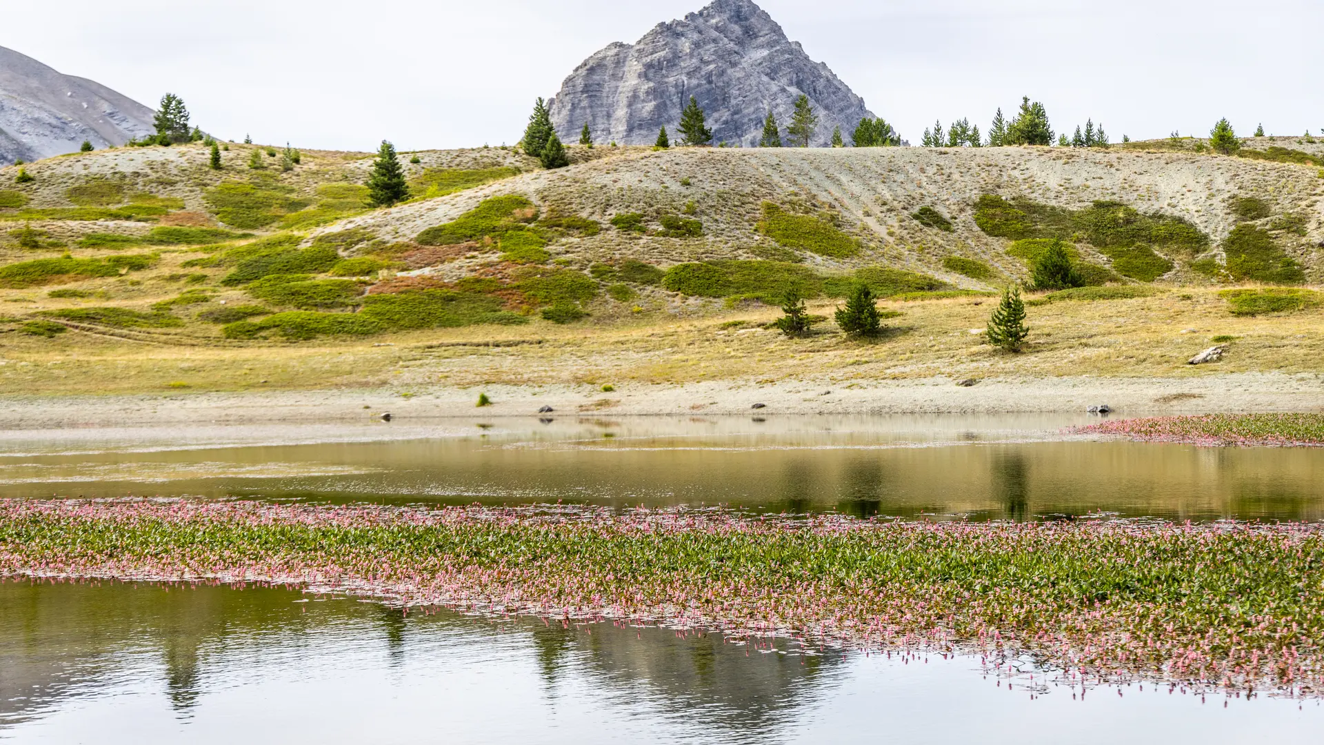 Lac noir du Chenaillet_Cervières