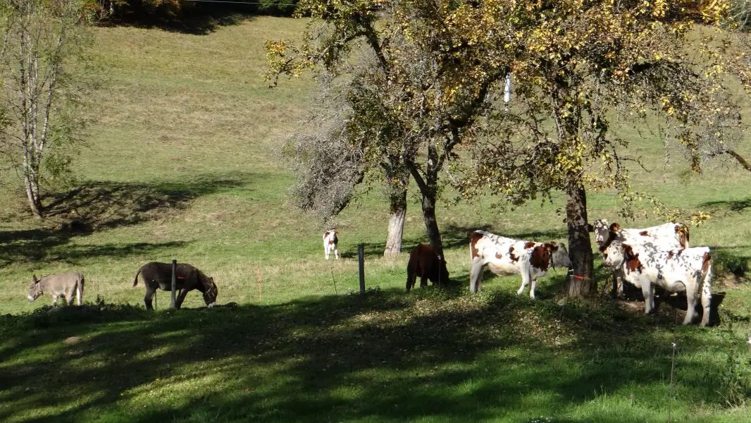 Un voisinage tranquille