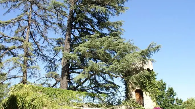 Parc de la Tour Vieille