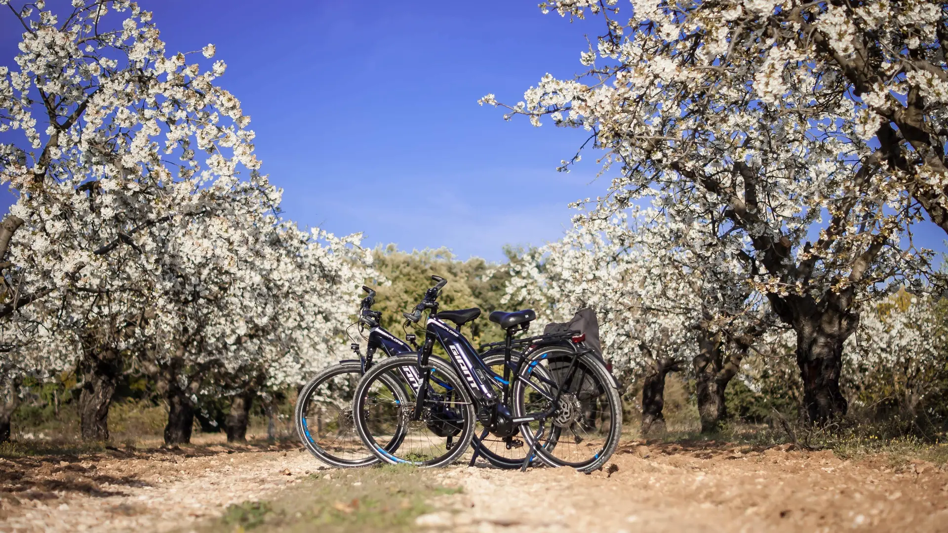 Rent Bike Luberon