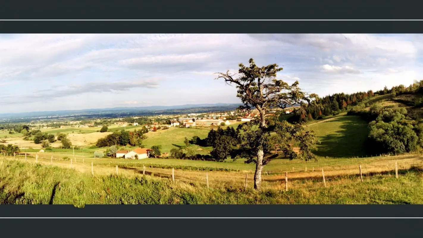 Un panorama imprenable sur Roanne