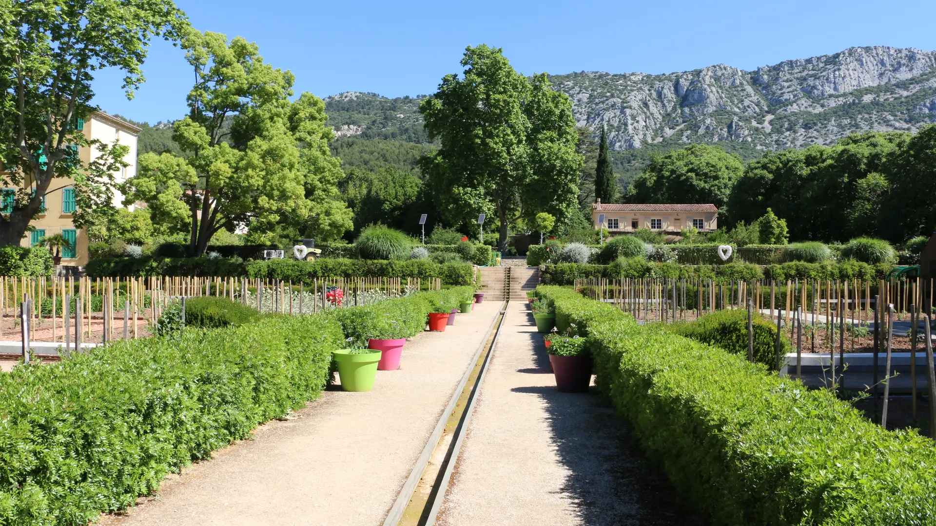 jardin potager