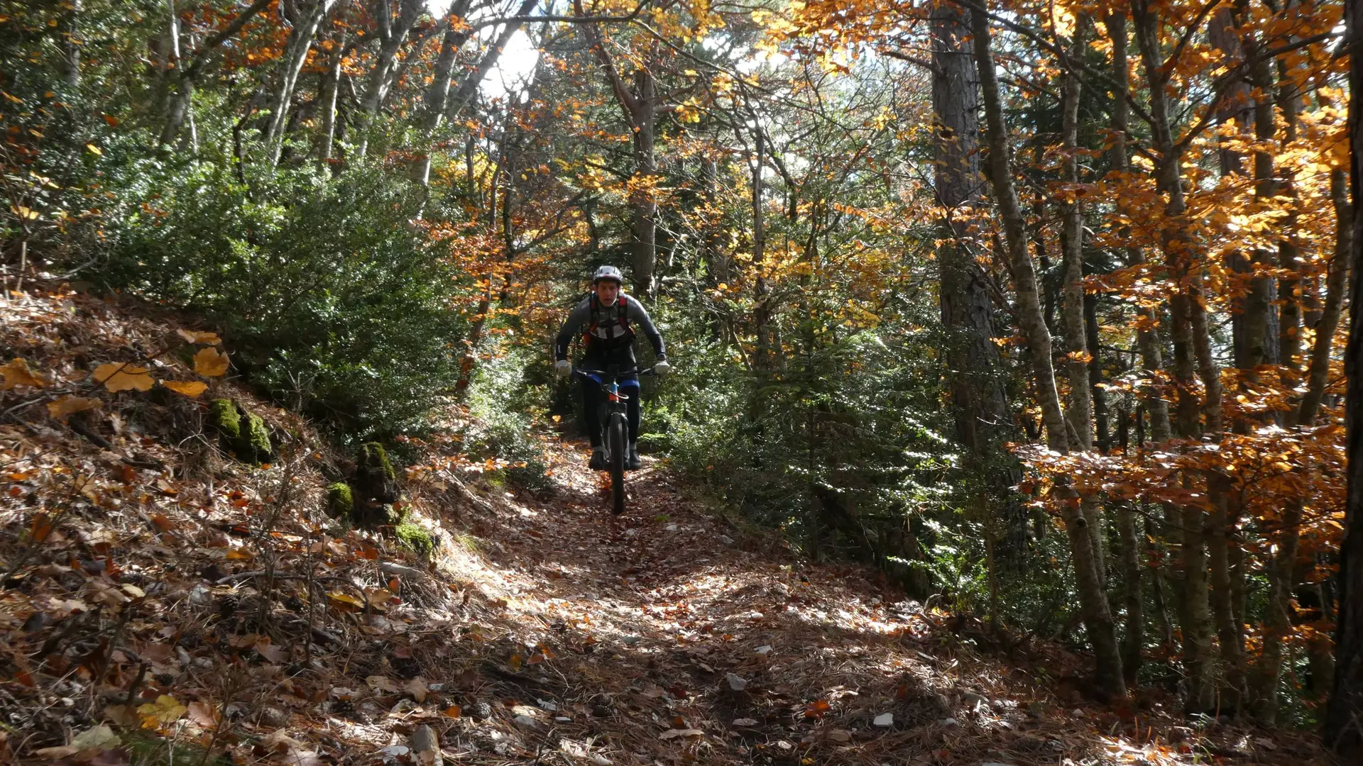 Forêt Domaniale de l'Oule