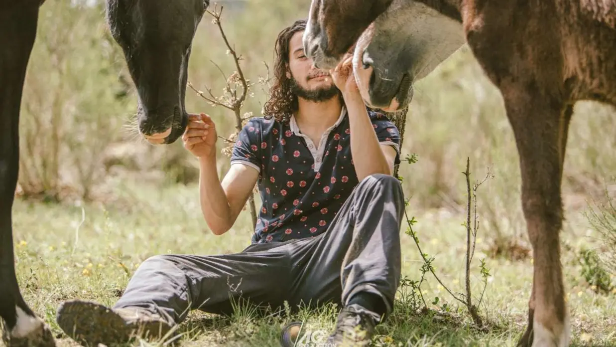 Avec les chevaux