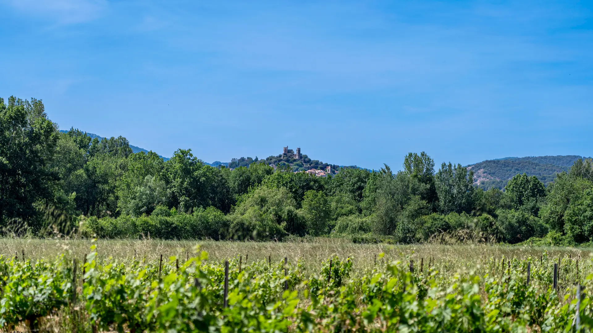 Sentier du Peyron Grimaud