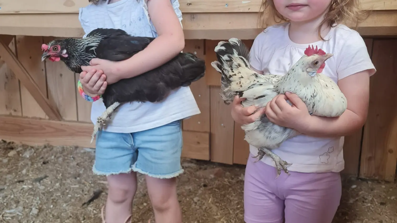 La ferme du Champ Rouge