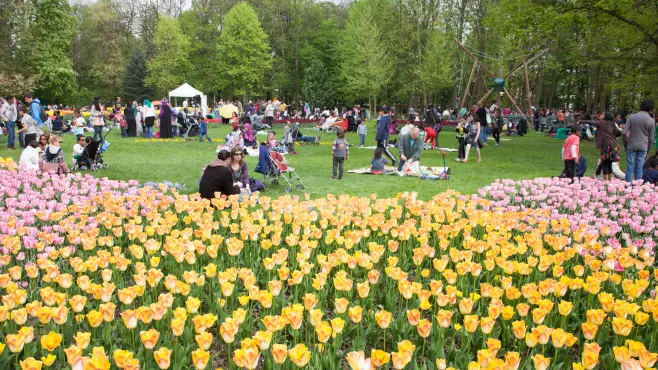 Le parc lors de la fête des tulipes