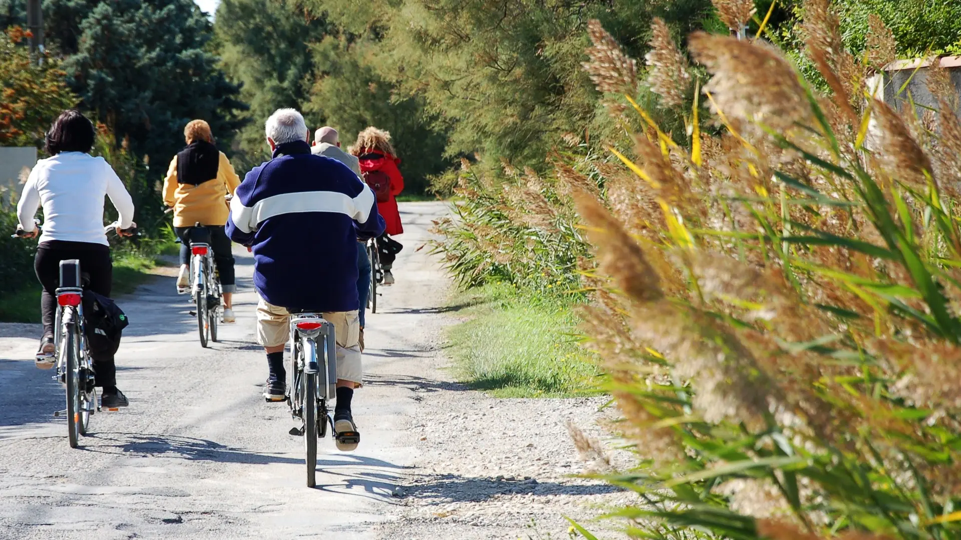 Cyclistes sur le chemin de Palun Longue