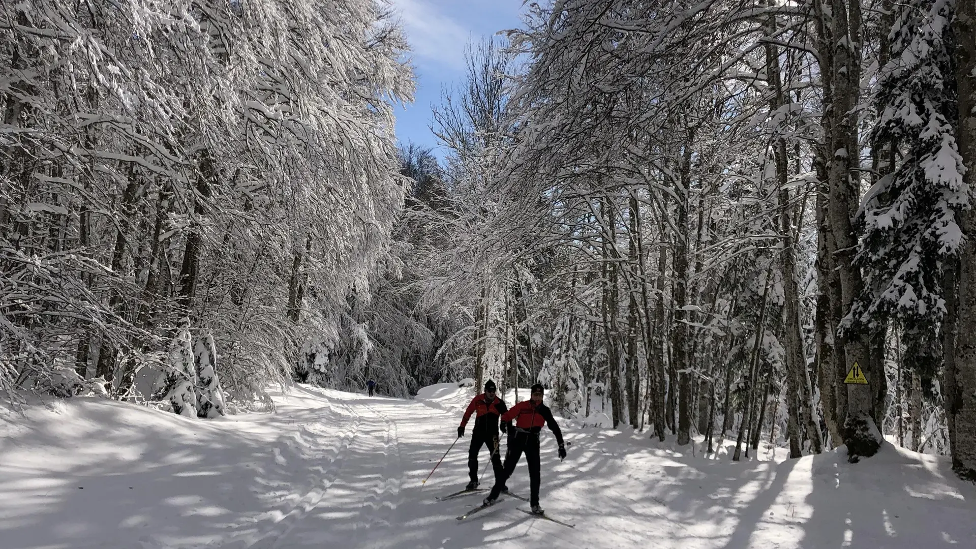 Ski nordique sur le Site de Lachat_Haut Valromey