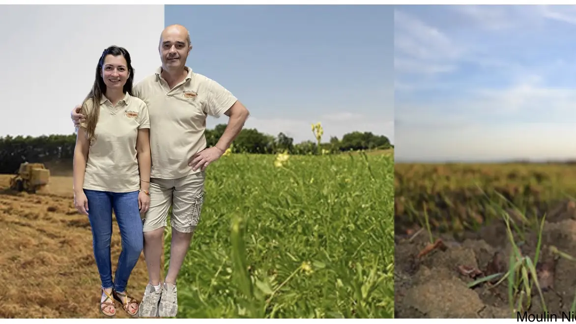 Les producteurs