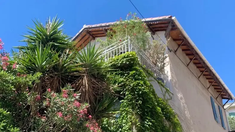 maison de l'exterieur avec verdure