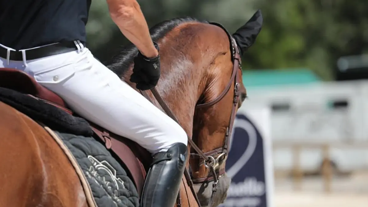 Écurie de sport pour chevaux desaut d'obstacle