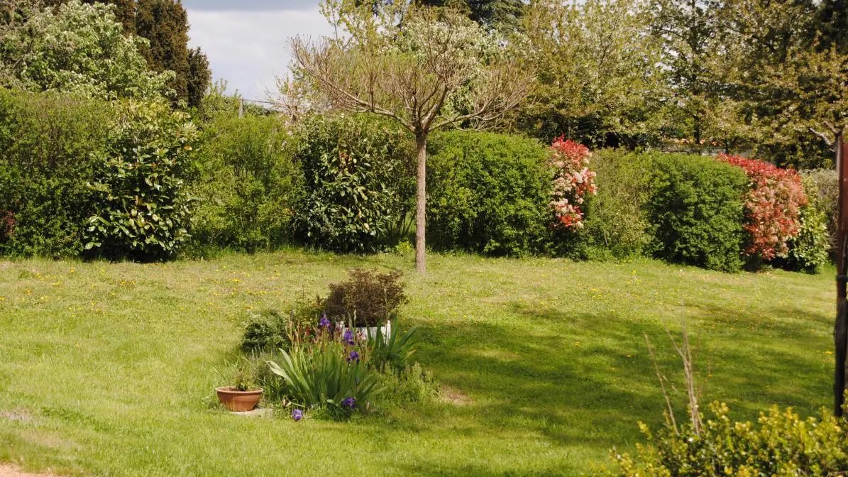 Jardin
