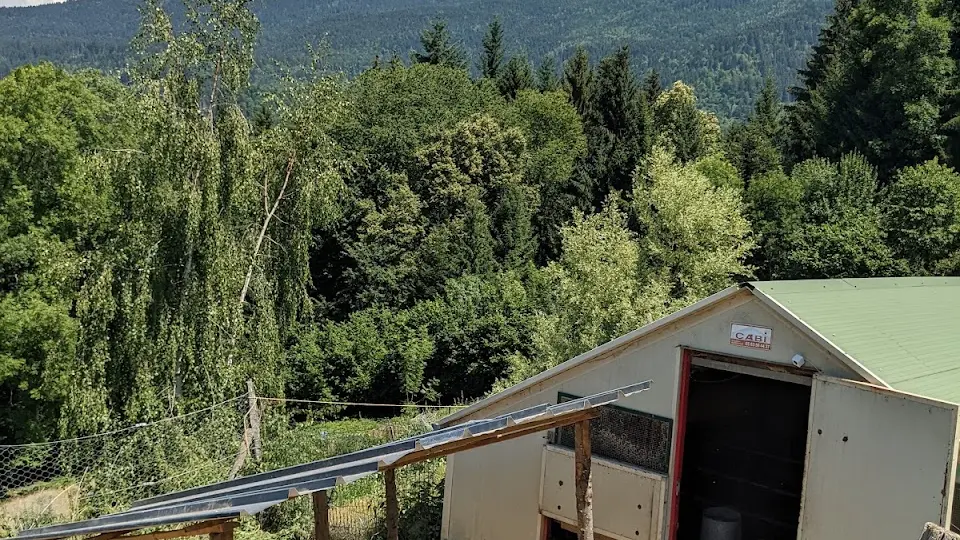 Une ferme située en pleine nature, au pied d'une chaîne de montagnes. On distingue des poullailers avec des toits en pente, entourés de prairies verdoyantes.