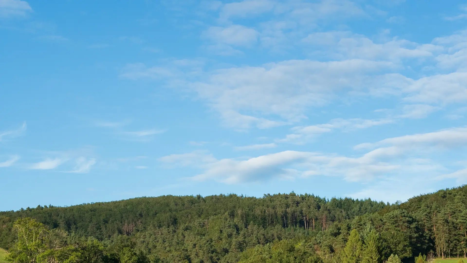 Autour du plan d'eau de Saint-Clément