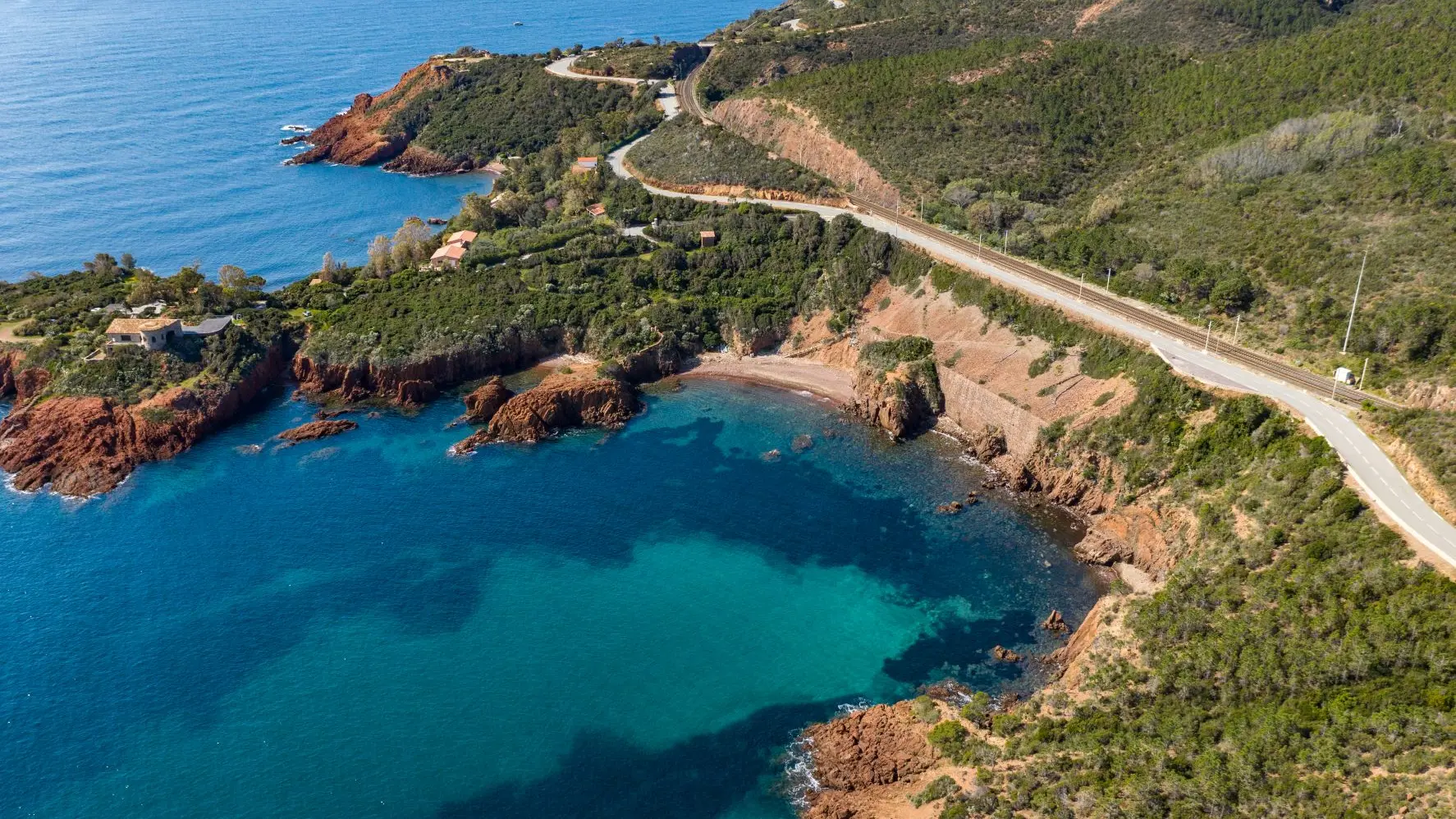 L'hiver en Estérel Côte d'Azur, entre carnavals et mimosa