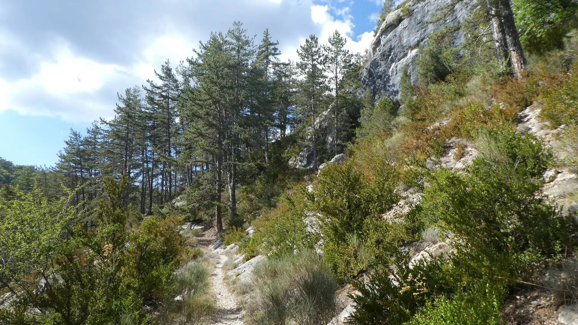 Superbe sentier en balcon