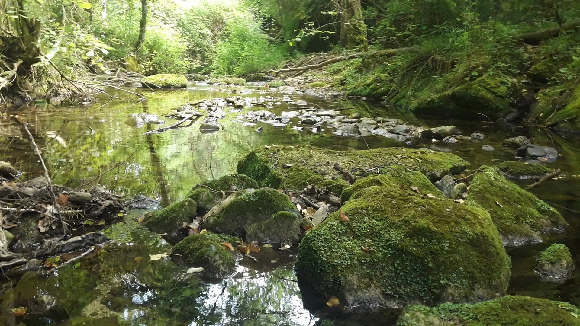 Les sources de l'Aiguebrun