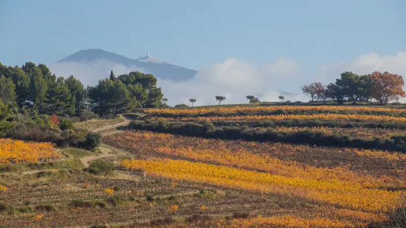 gravel 38 Flassan Ventoux