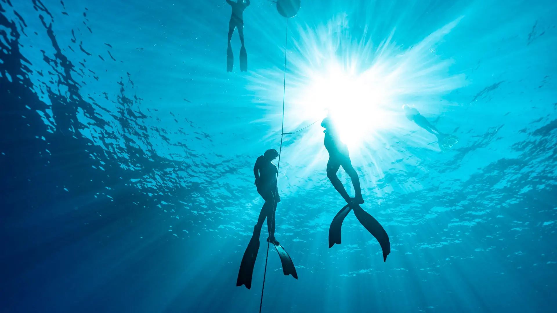 Freediving Moorea - Marine Grosjean