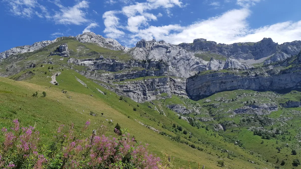 Paysage