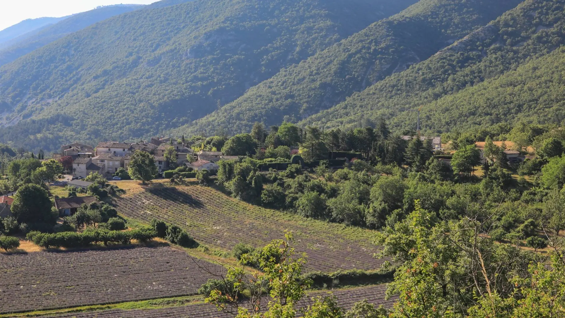 Auribeau au pied du Grand Luberon