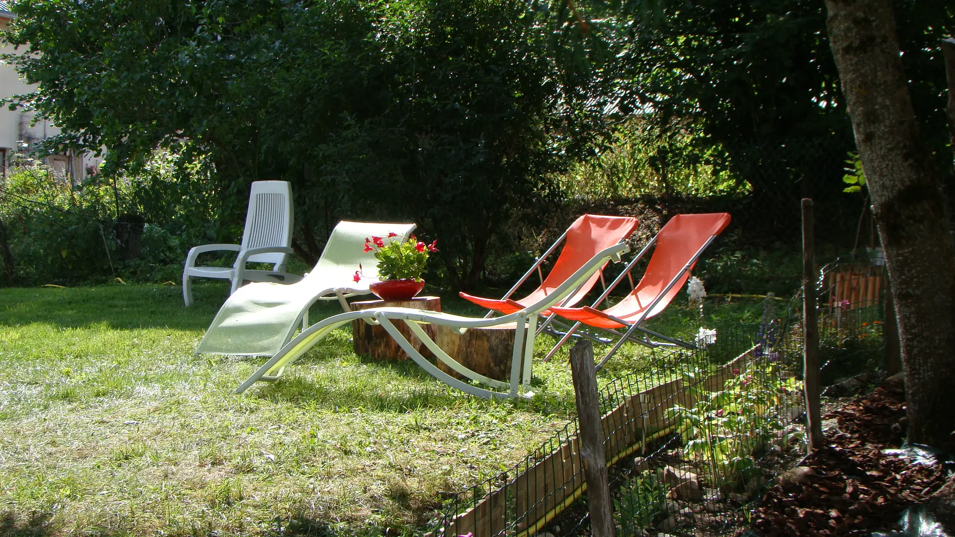 jardin