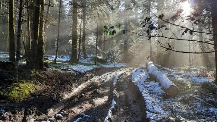 Les chemins forestiers au pieds du gite...