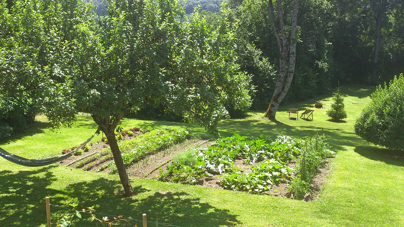 de la verdure au jardin