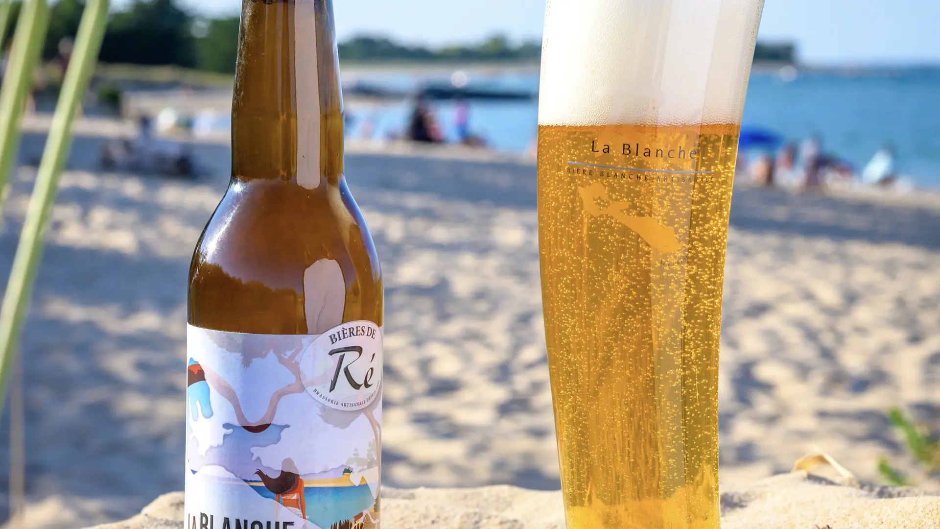 Blanche bio des Bières de Ré