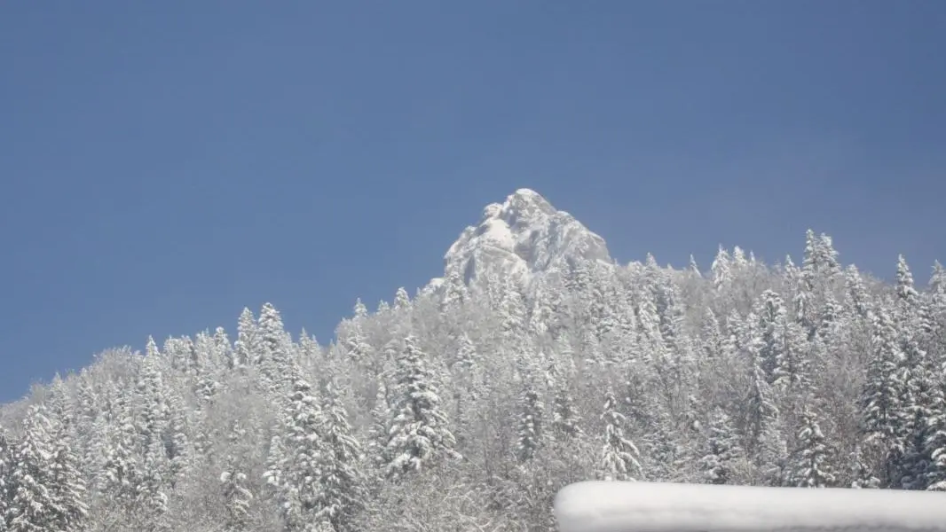 Derrière l'Edelweiss, la Dent de Pleuven.