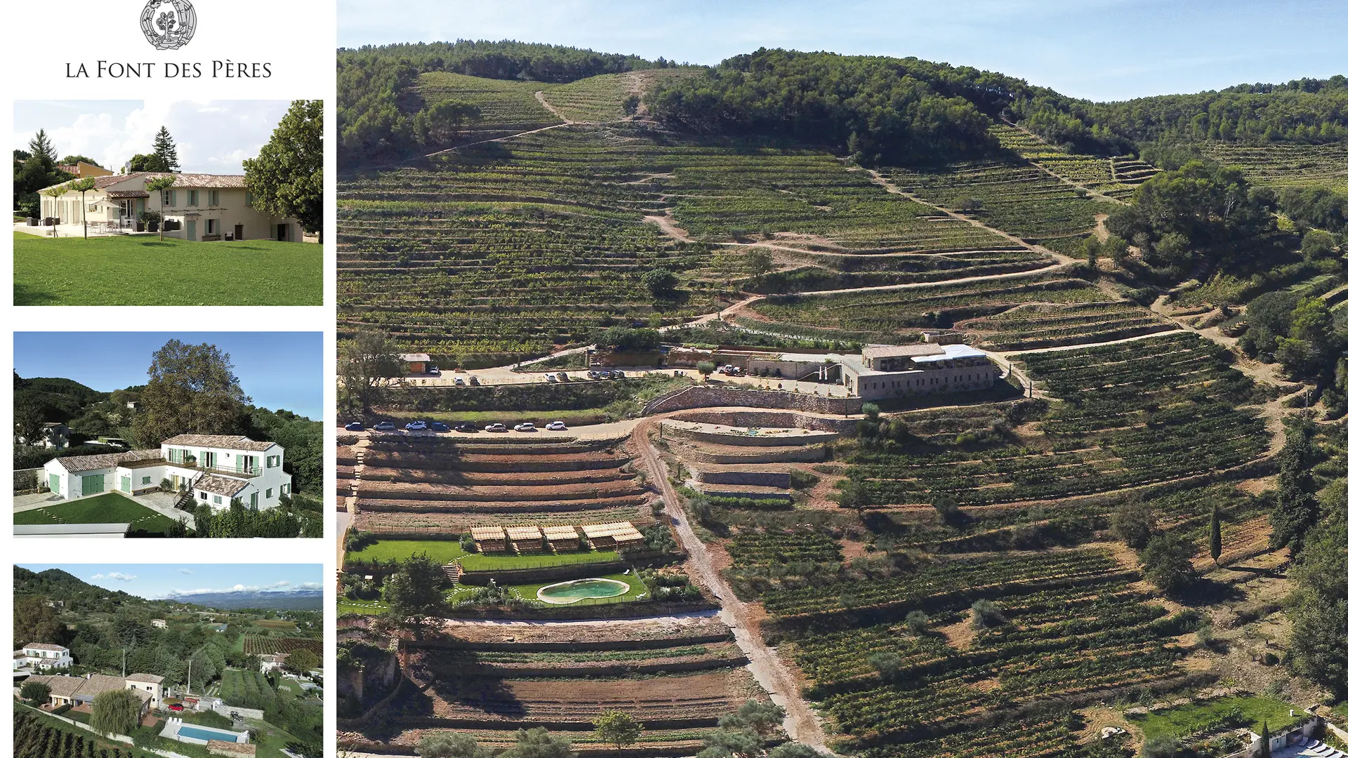 Vignes et maisons