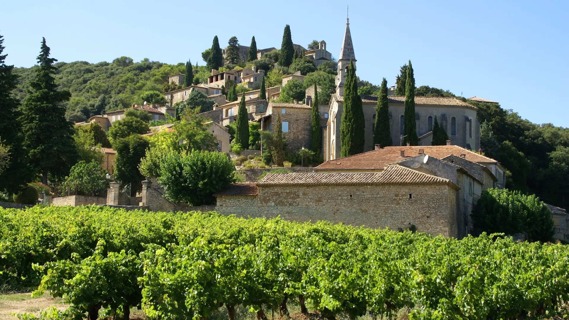 Vue d'ensemble de la Roque sur Cèze