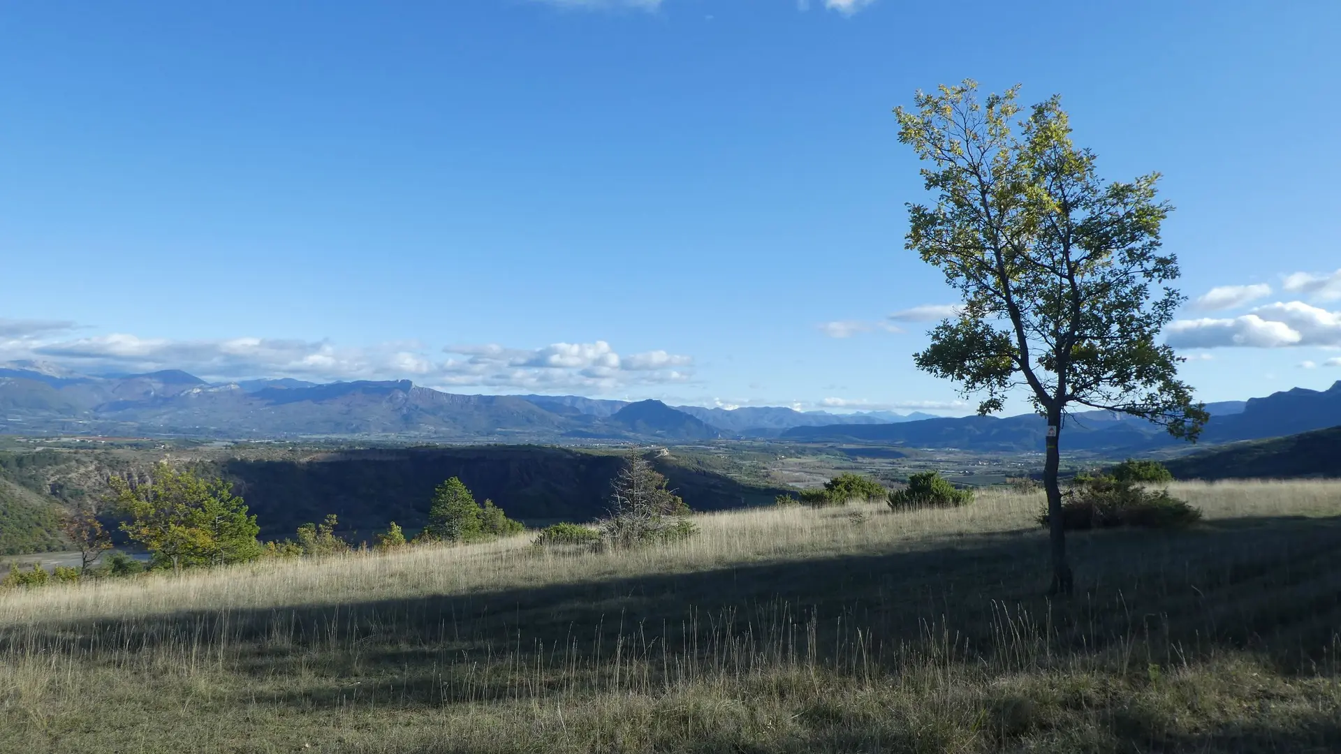 Large prairie et sa vue dégagée