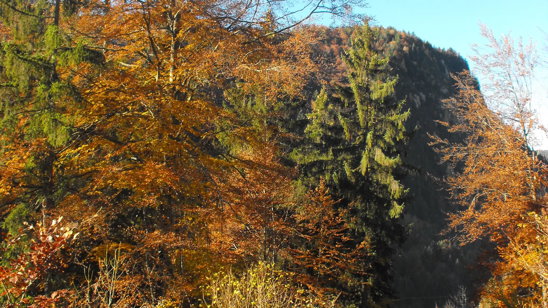 Abondance en automne
