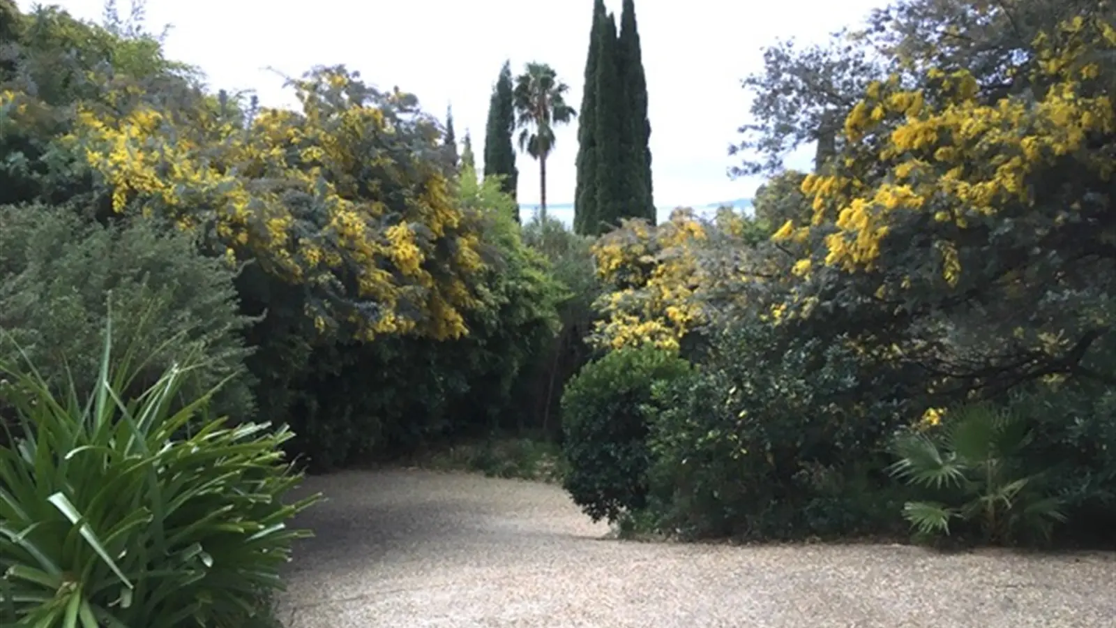 Montée du parking