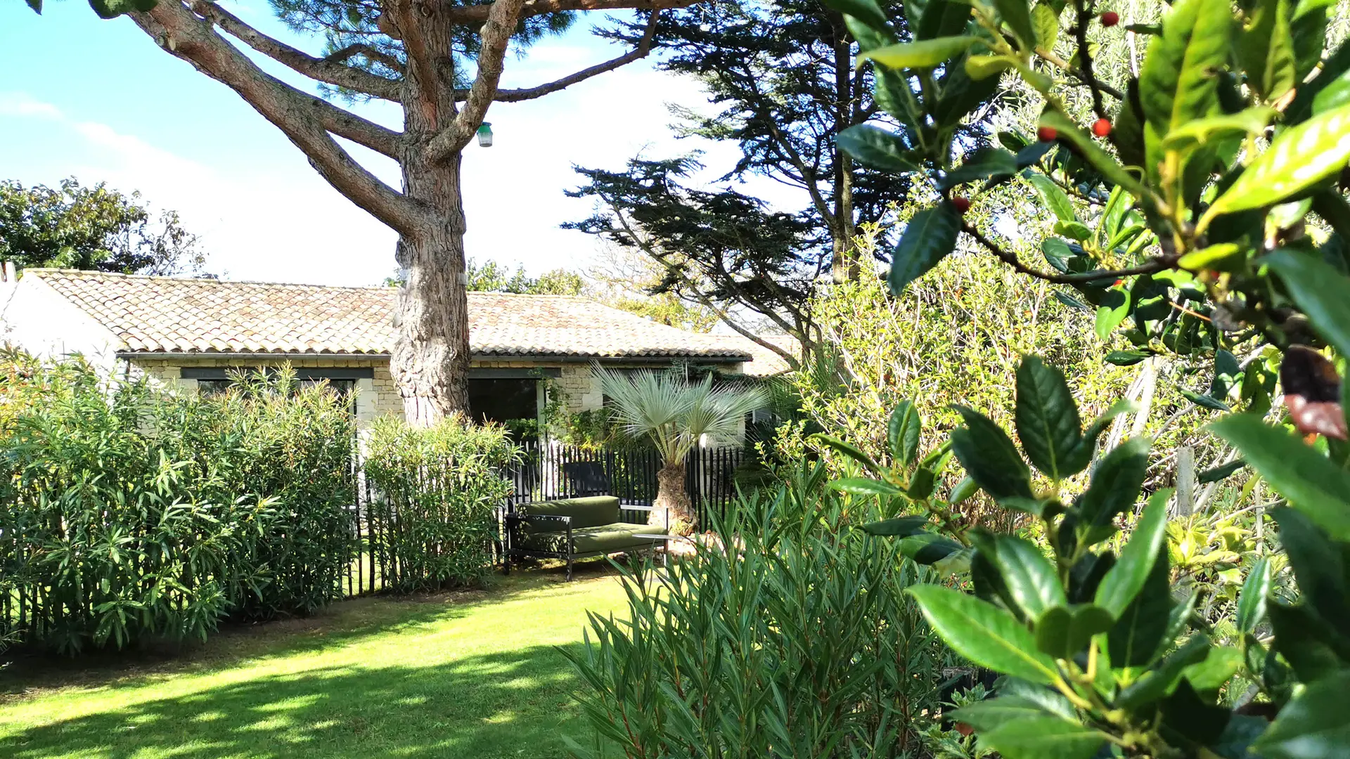 Garden on the spa side