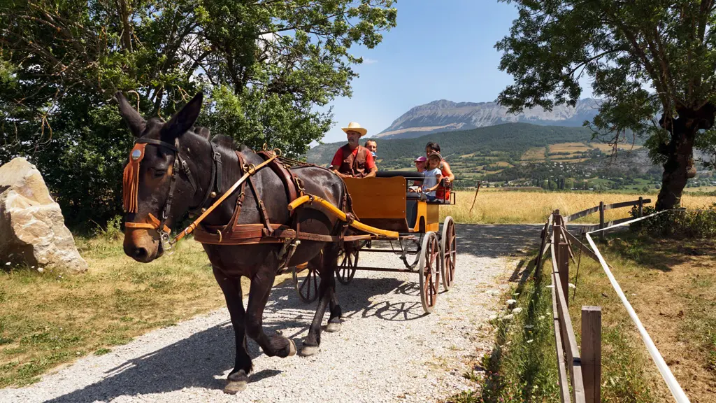 Balade en calèche