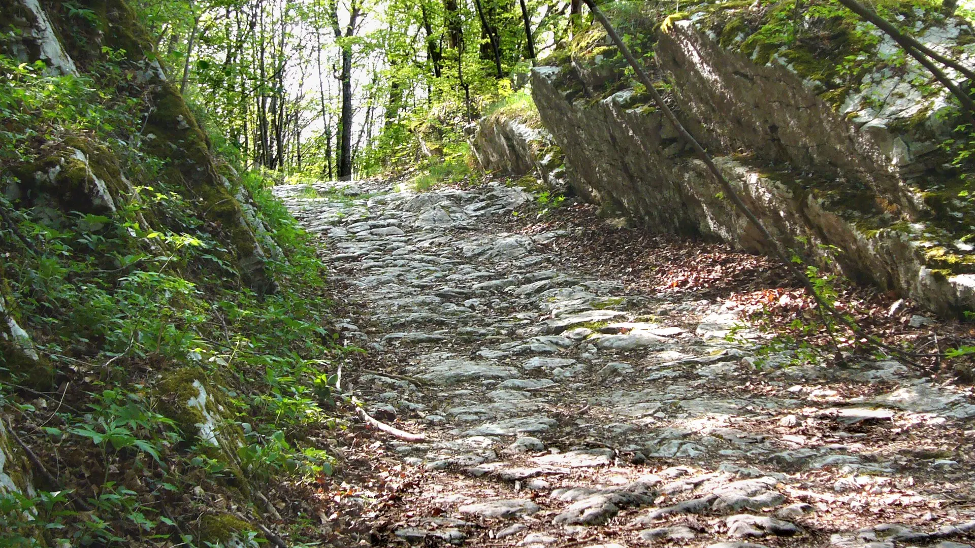 Voie sarde d'Aiguebelette