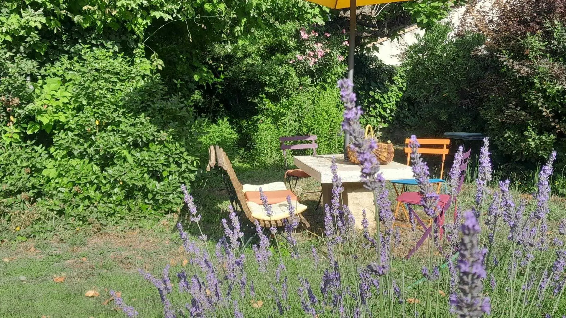 le jardin sous les arbres juin