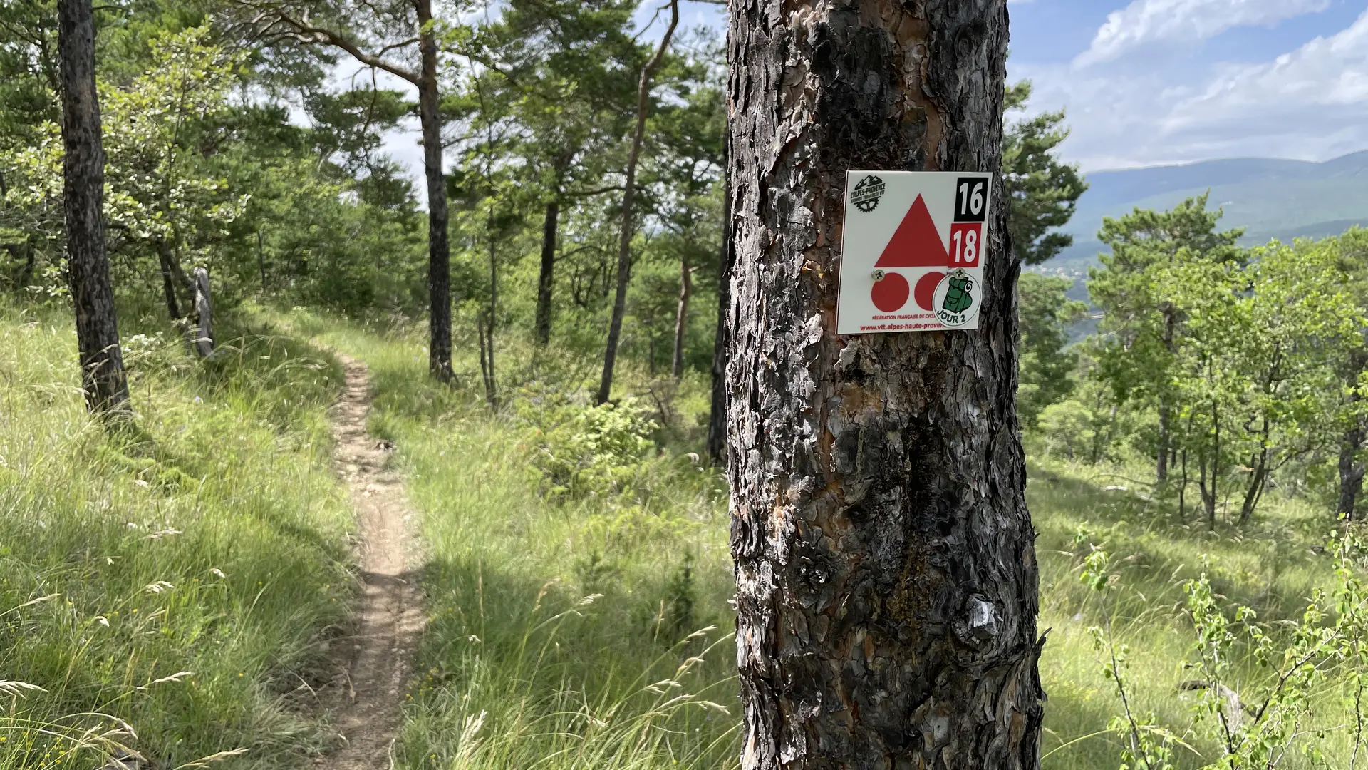 Le Tour de Tourdeaux