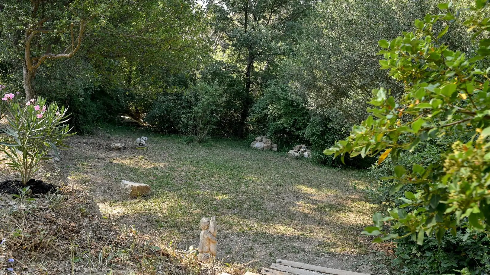 Jardin