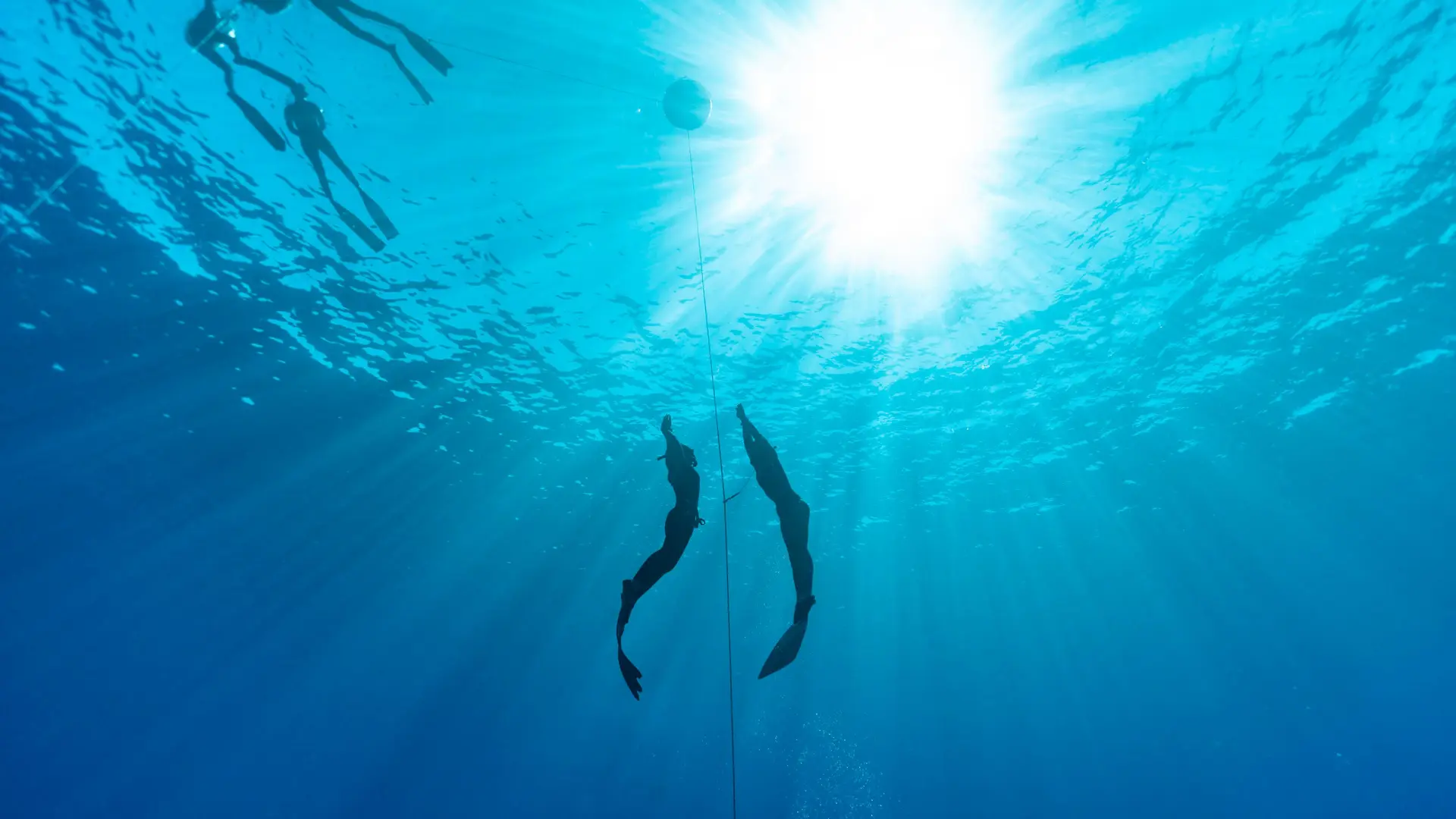 Freediving Moorea - Marine Grosjean